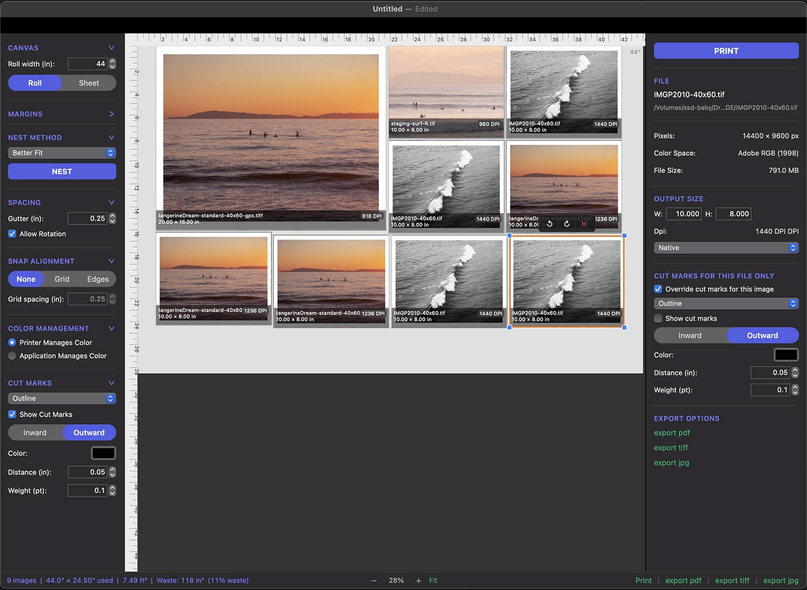 Screenshot of the NestPrint nesting UI